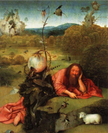Bosch, Johannes de Doper in de wildernis