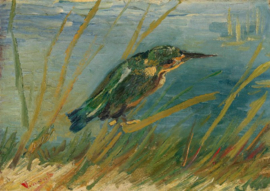 Van Gogh, IJsvogel aan de waterkant