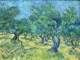 Van Gogh, Olijfgaard