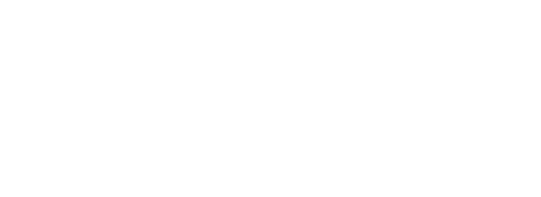 TheatergroepBluv