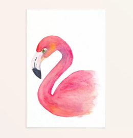 Kaart Flamingo