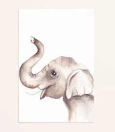 Kaart Olifant