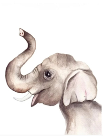 Kaart Olifant