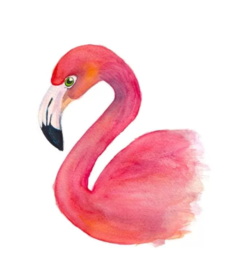 Kaart Flamingo