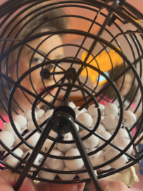 26 APRIL | BEP & NEL BINGO ronde 1, 11:00u