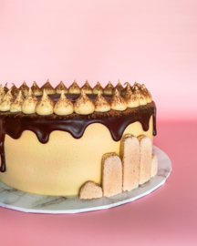 TIRAMISU CAKE