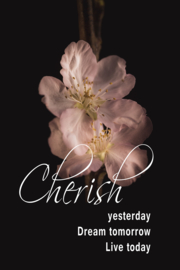 Kersenbloesem en Cherish op canvas