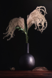 Pampas stilleven op canvas