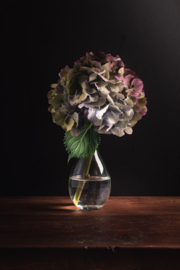 Hortensia stilleven op canvas