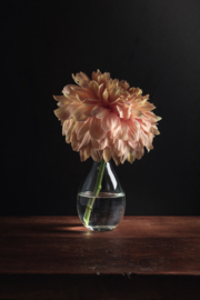 Chrysant stilleven op canvas