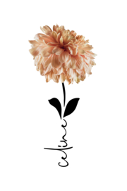 Geboortebloem november op canvas