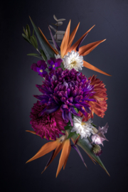 Paradijsvogelbloemen boeket op canvas