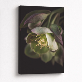 Groene Bloemen - Canvas Schilderij