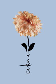 Geboortebloem november op canvas