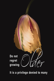 Tulp en Growing older op canvas