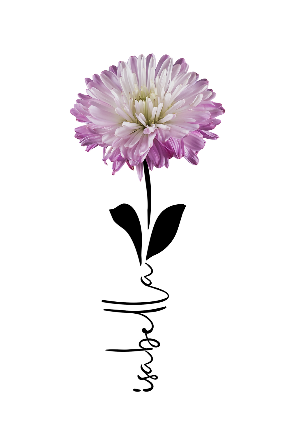 Geboortebloem september op canvas