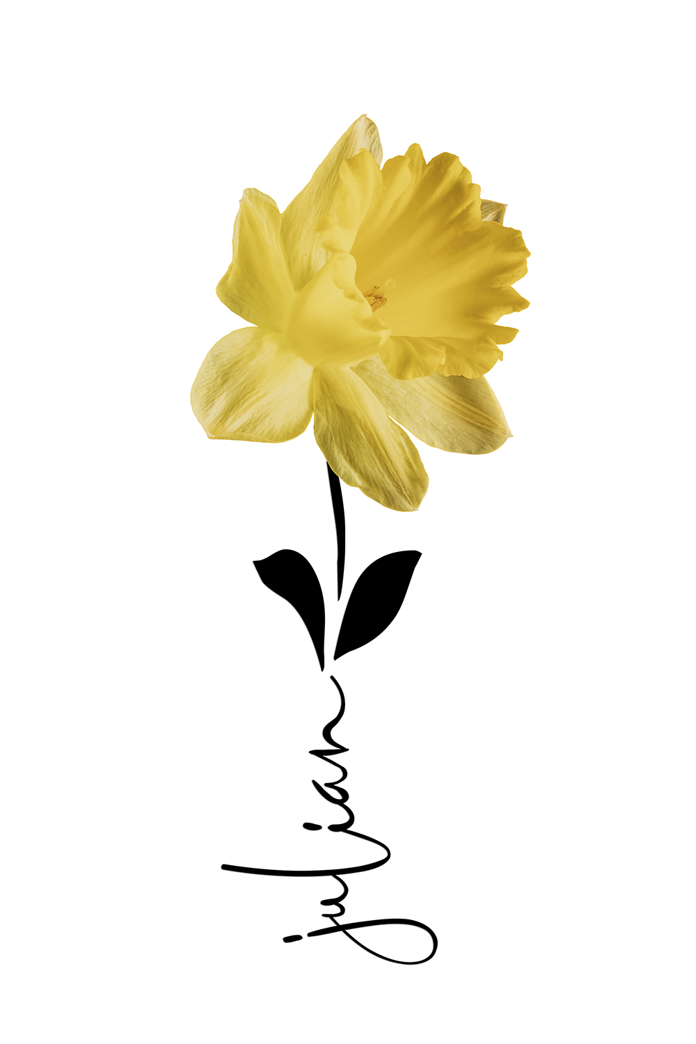 Geboortebloem maart op canvas