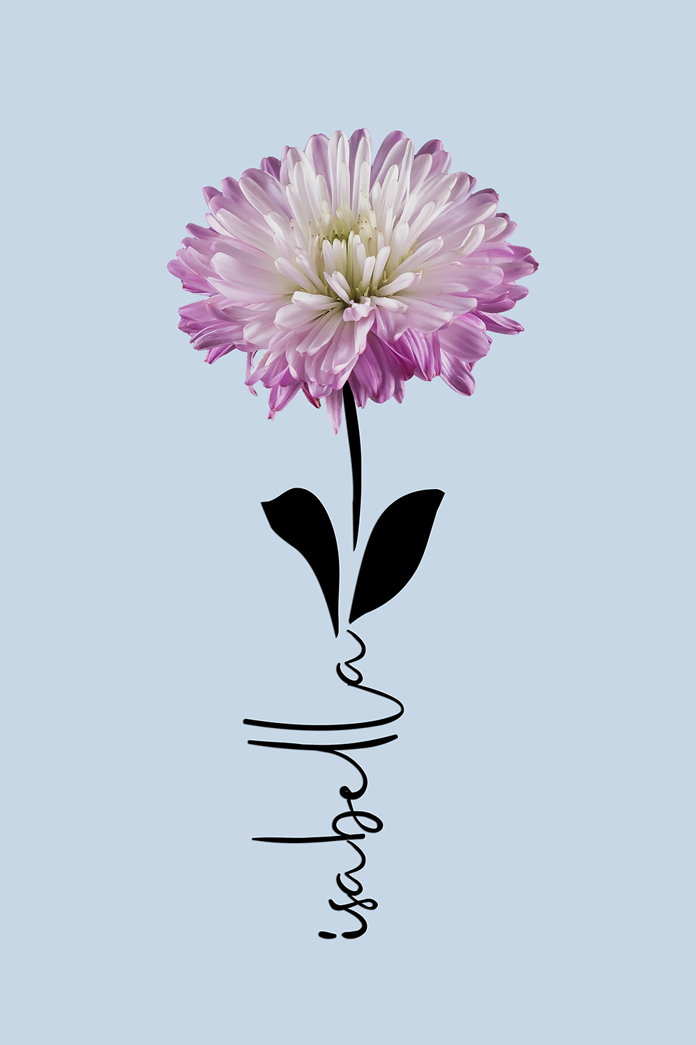 Geboortebloem september op canvas