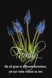 Muscari en Family op canvas