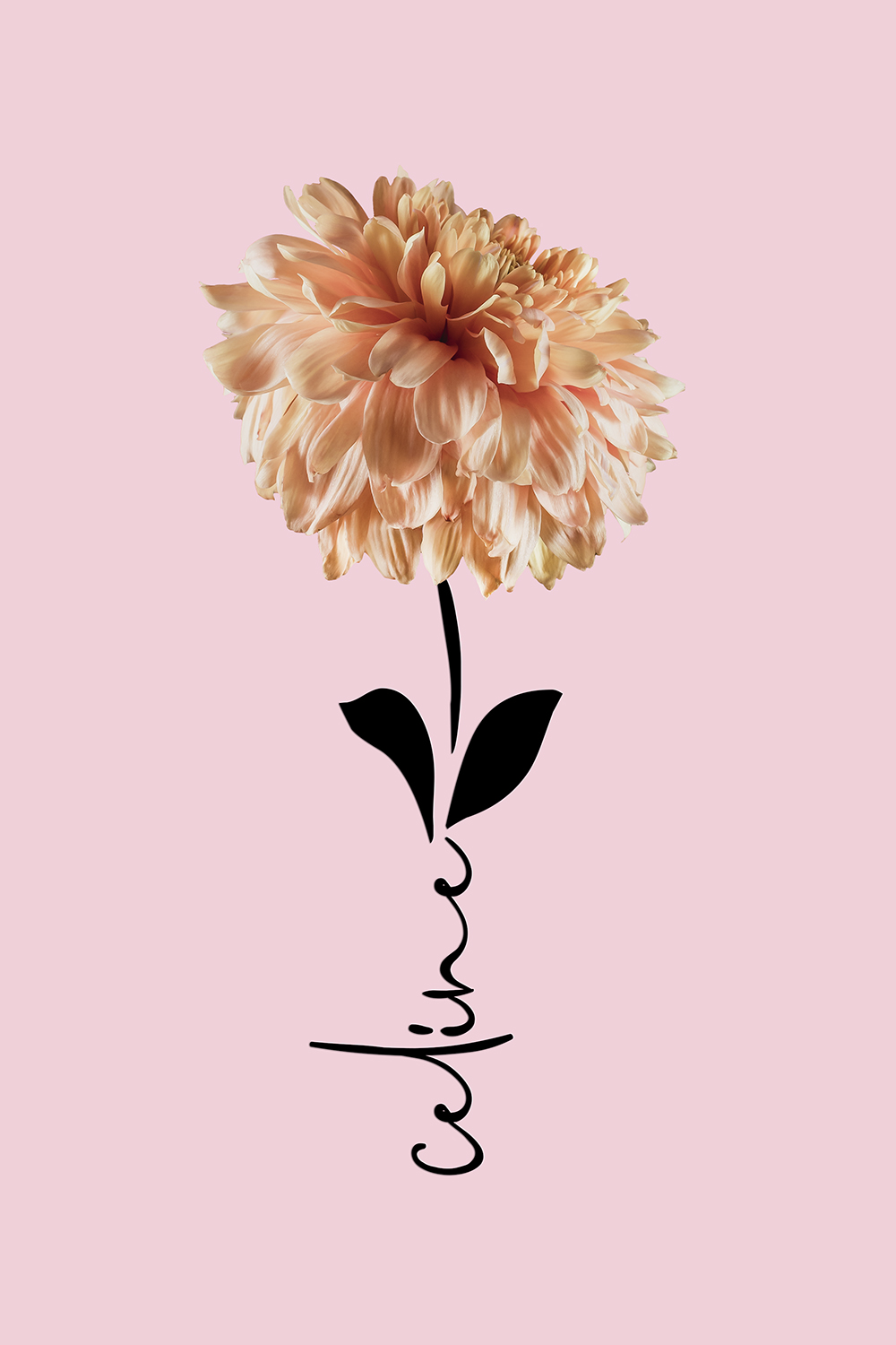 Geboortebloem november op canvas