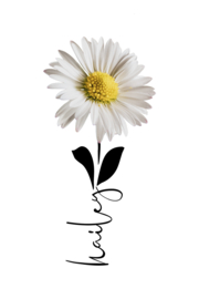 Geboortebloem april op canvas