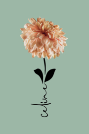 Geboortebloem november op canvas