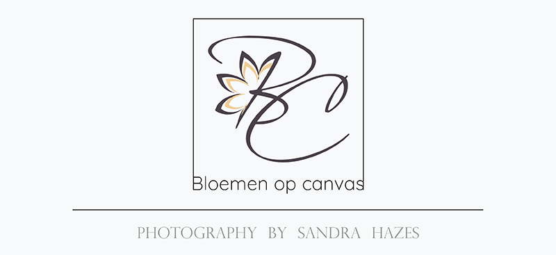 Bloemen op canvas