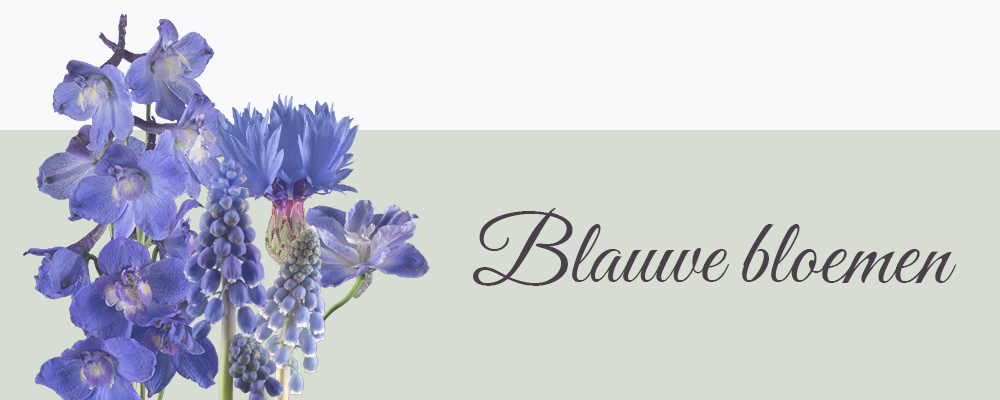 Blauwe bloemen op canvas