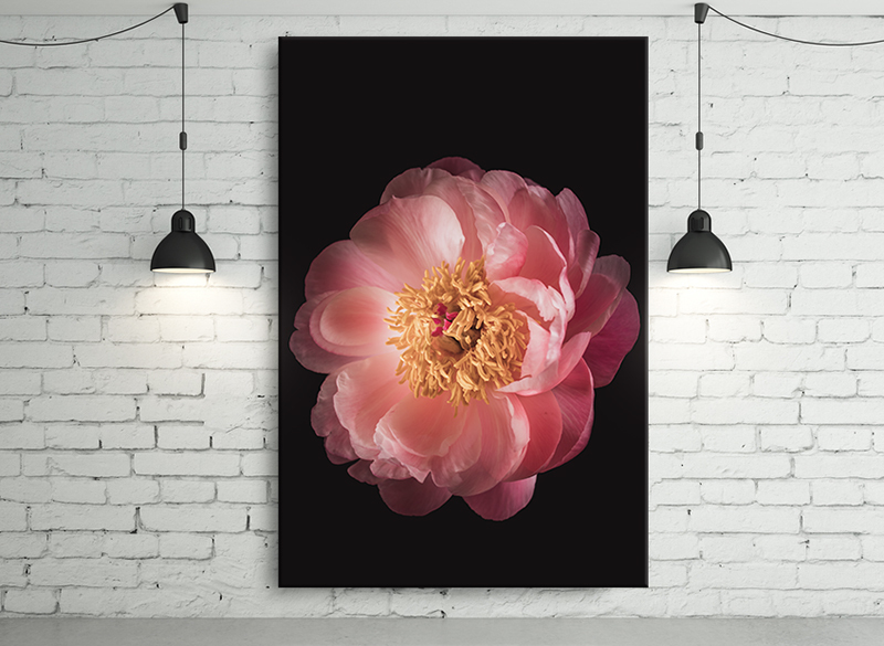 Canvas schilderijen bloemen