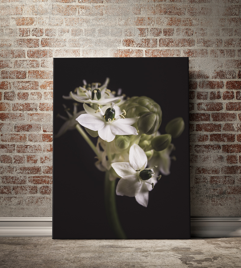 Productinformatie bloemen op canvas