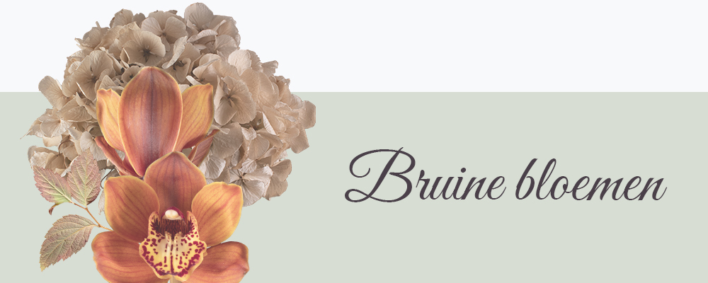 Bruine bloemen op canvas