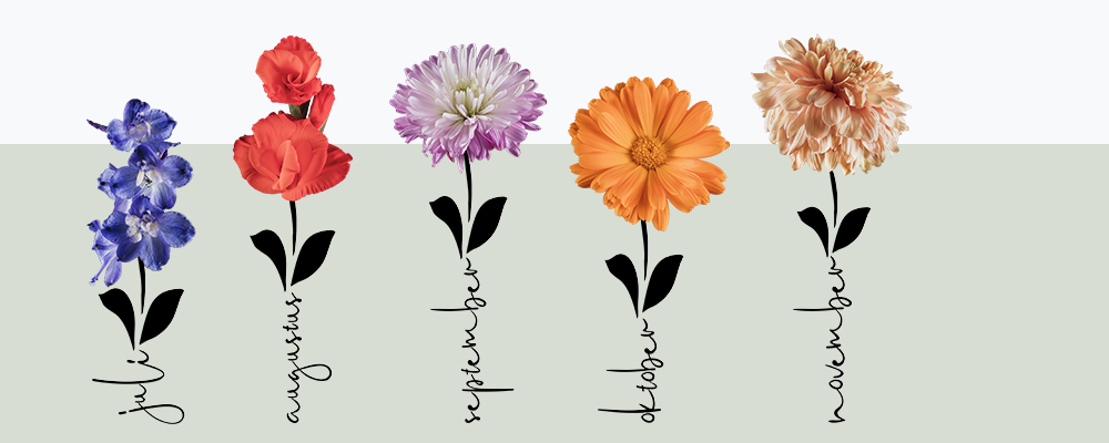 Familieboeket en Geboortebloemen