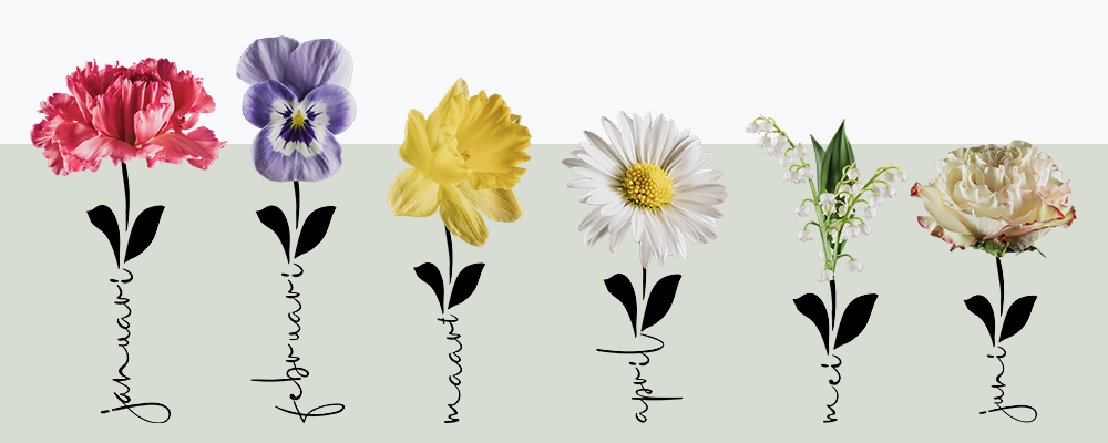 Familieboeket met geboortebloemen