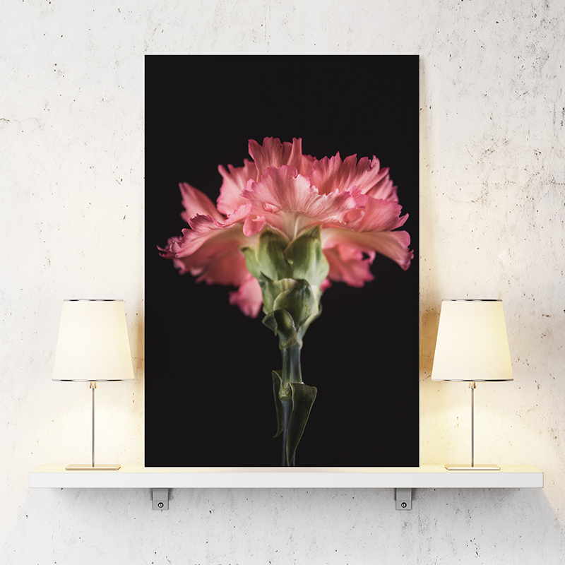 Geboortebloem op canvas in fine art stijl
