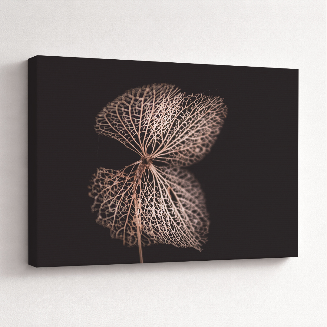 Canvas Schilderij Gedroogde Hortensia