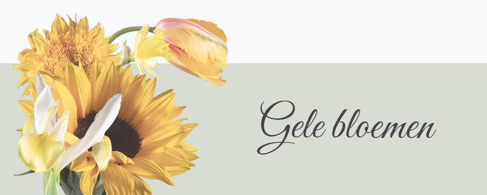 Gele bloemen op canvas