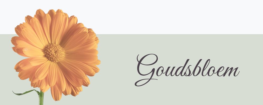 Geboortebloem oktober goudsbloem