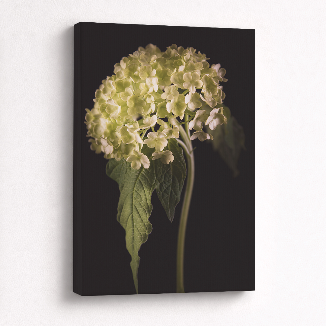 Canvas Schilderij Groene Bloemen