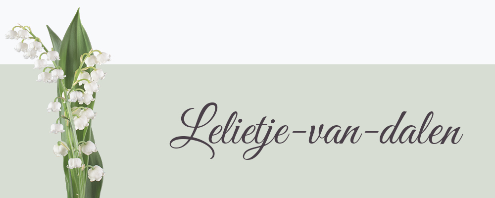 Lelietje-van-dalen bloemensoort