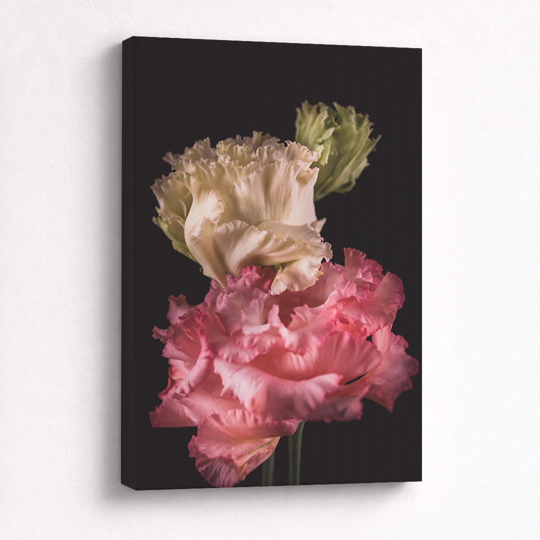 Canvas Schilderij Lisianthus Kleurrijk
