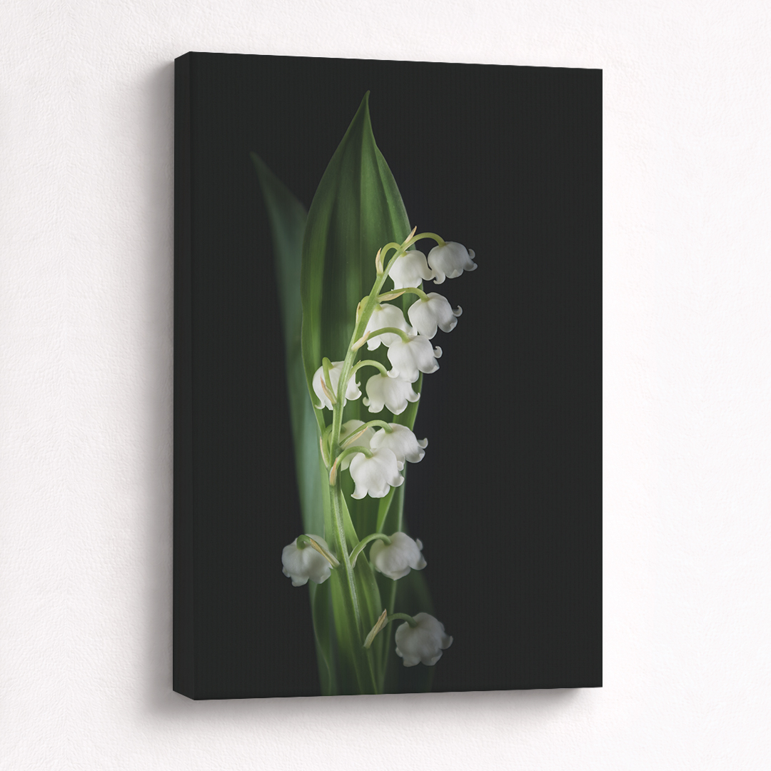 Canvas Schilderij met Geboortebloem Mei Lelietje-van-dalen