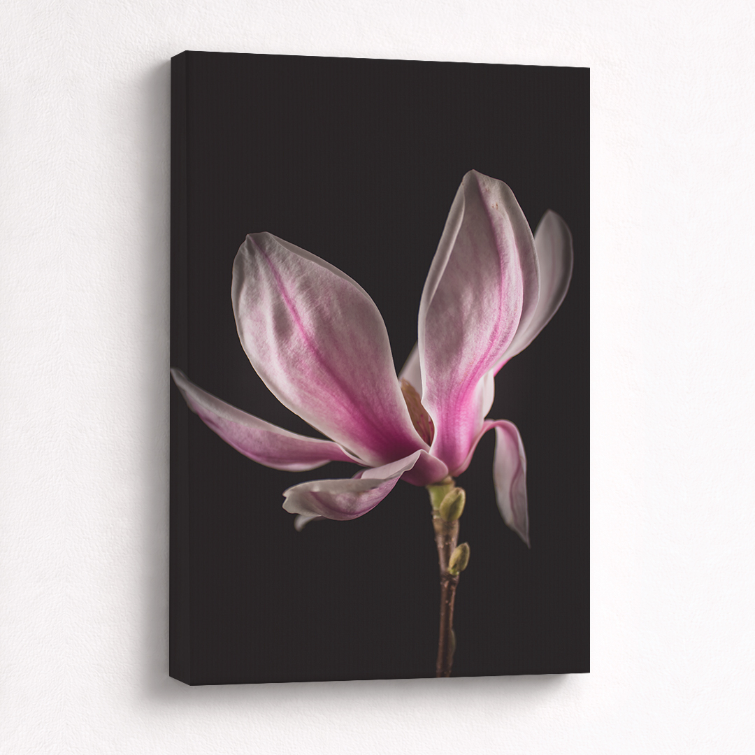 Canvas Schilderij Magnolia Roze