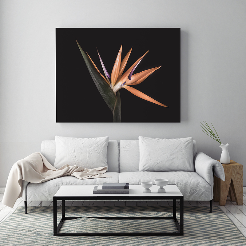 Oranje bloemen op canvas