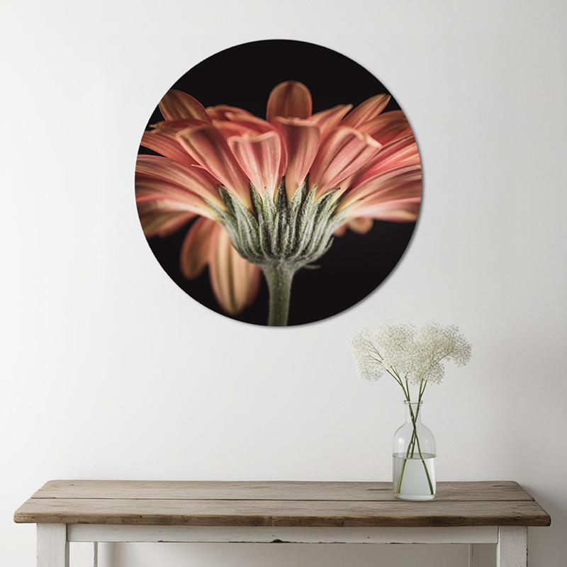 Oranje bloemen op muurcirkel