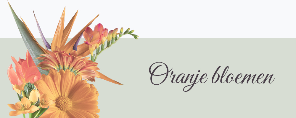 Oranje bloemen op canvas