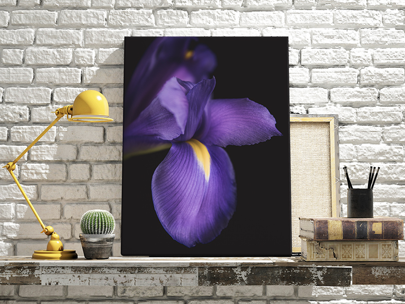 Paarse bloemen op canvas