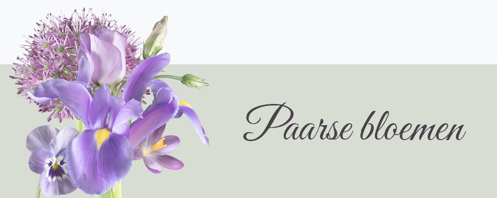 Paarse bloemen op canvas