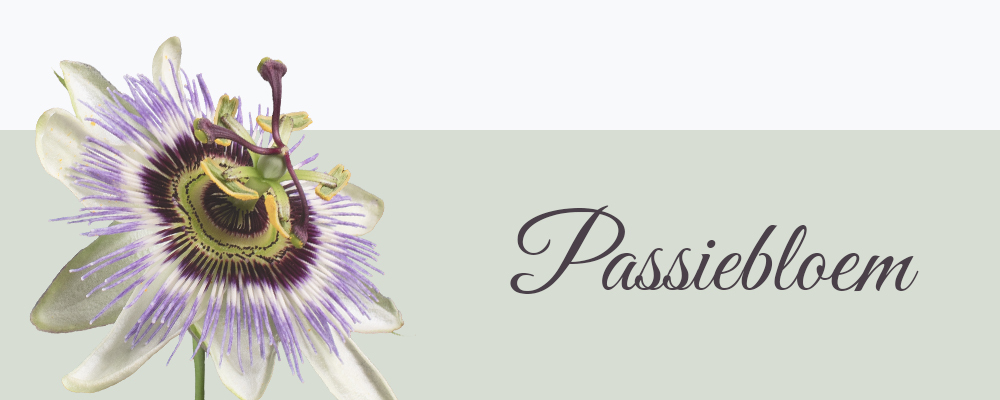 Passiebloem betekenis