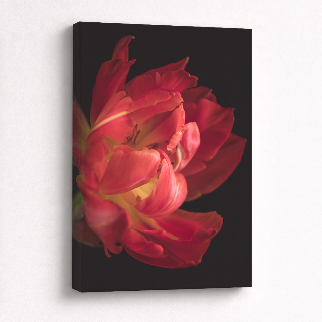Canvas Schilderij Rode Bloemen