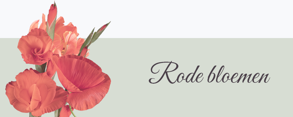 Rode bloemen op canvas